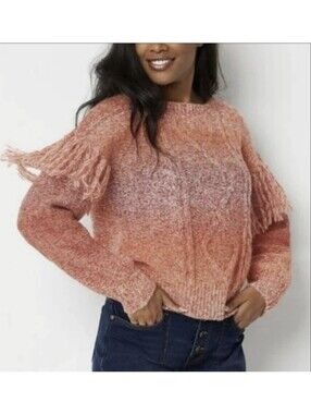 Frye & Co Wool Blend Fringed Ombre Sweater